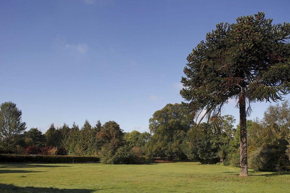 Woodland Grange Hotel Lillington  ภายนอก รูปภาพ